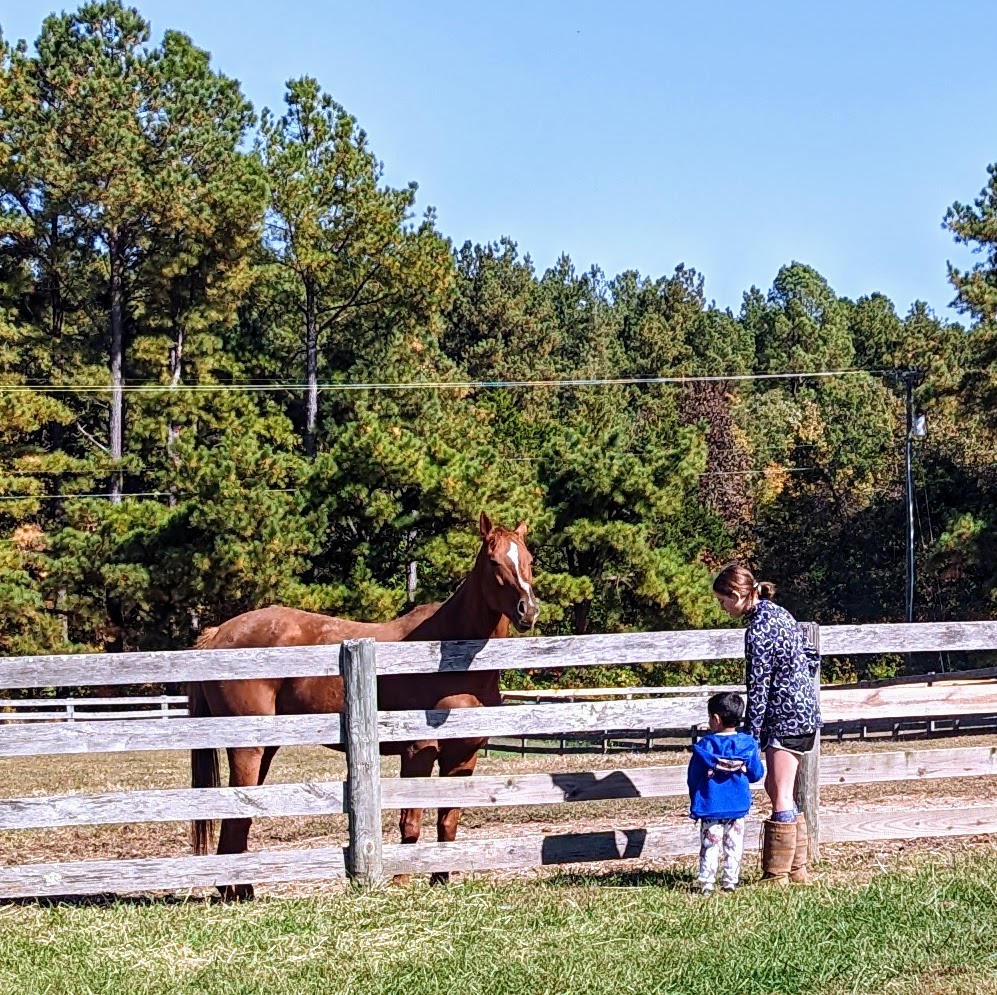 original_ffb65cbd-8ab1-4553-9026-3d522fdcde24_PXL_20221015_154825221